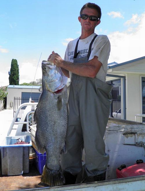 You won’t believe where this 1.2m barra was caught!